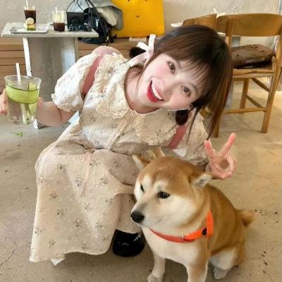 雪谷之狼